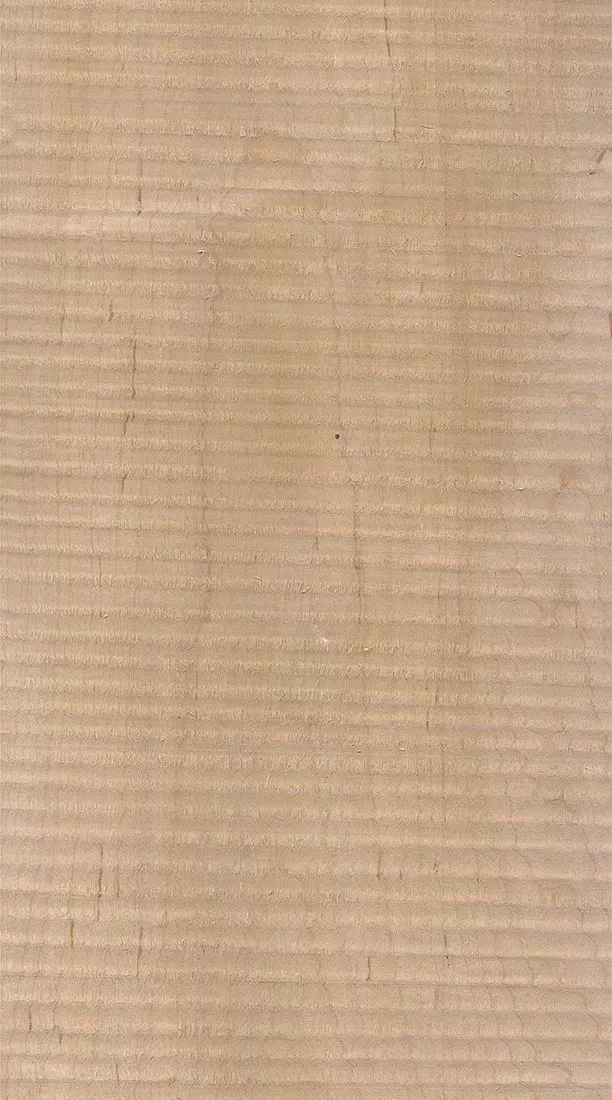 樺木的芯材顏色是淡紅棕色，邊材顏色近白色，板面寬且?guī)в暗哪酒な袌鰞r(jià)格良好，紋理通常是直紋和波浪紋，質(zhì)地均勻，板面有很好的自然光澤度。.webp.jpg